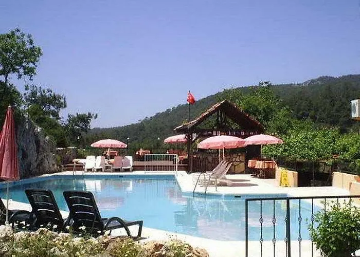 New Golden Gate フェティエ